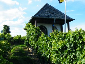 Unser Weinbergshäuschen Unser Alzeyer Weinbergshäuschen